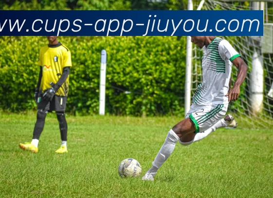 九游体育官网发展历程